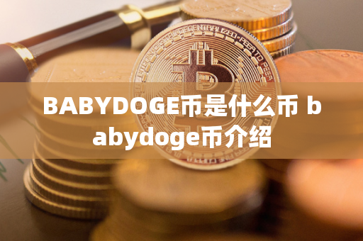 BABYDOGE币是什么币 babydoge币介绍