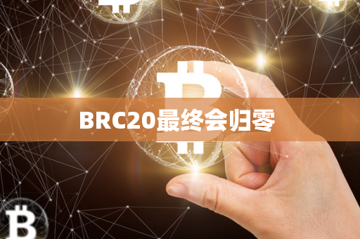 BRC20最终会归零 