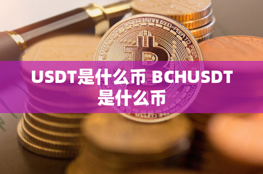 USDT是什么币 BCHUSDT是什么币