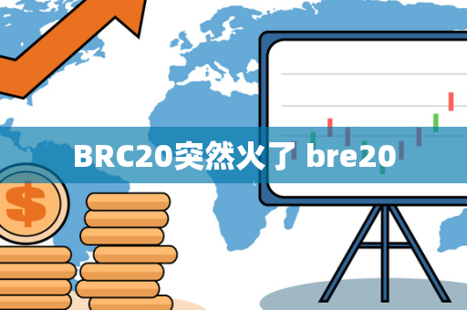 BRC20突然火了 bre20