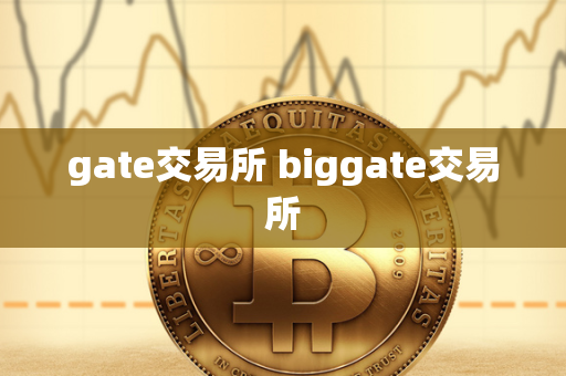 gate交易所 biggate交易所