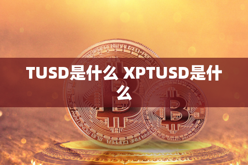 TUSD是什么 XPTUSD是什么