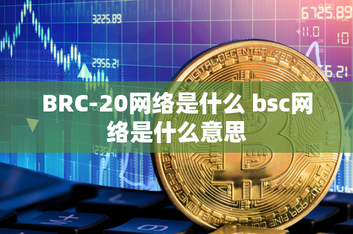 BRC-20网络是什么 bsc网络是什么意思