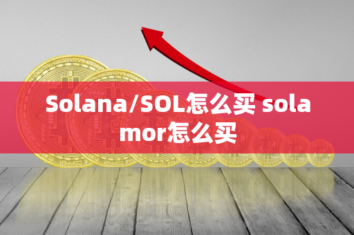 Solana/SOL怎么买 solamor怎么买