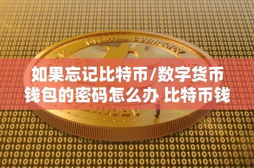 如果忘记比特币/数字货币钱包的密码怎么办 比特币钱包 忘记密码