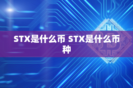 STX是什么币 STX是什么币种