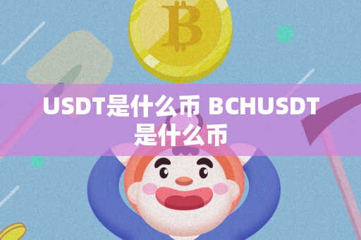 USDT是什么币 BCHUSDT是什么币