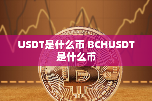 USDT是什么币 BCHUSDT是什么币