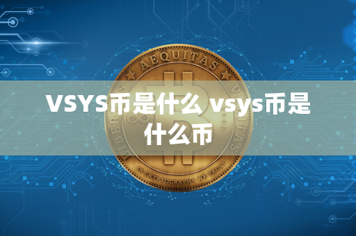 VSYS币是什么 vsys币是什么币