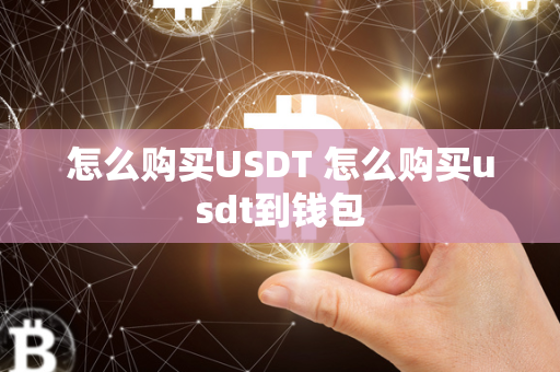 怎么购买USDT 怎么购买usdt到钱包