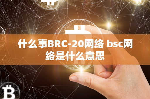 什么事BRC-20网络 bsc网络是什么意思