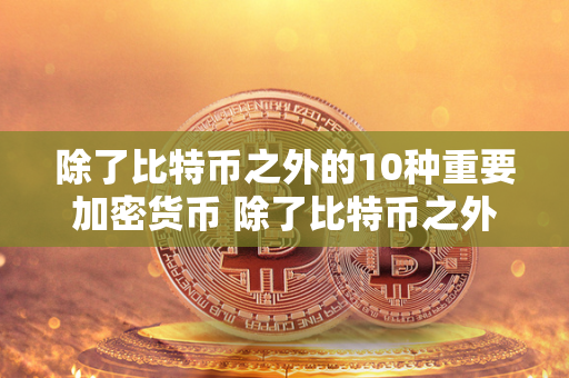 除了比特币之外的10种重要加密货币 除了比特币之外的10种重要加密货币是什么