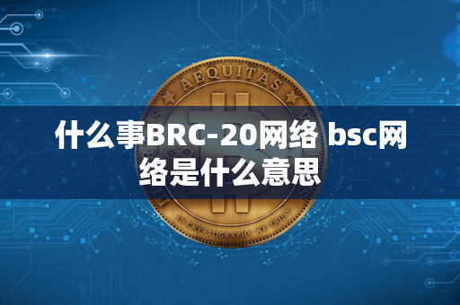 什么事BRC-20网络 bsc网络是什么意思