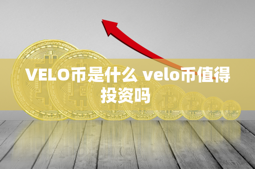 VELO币是什么 velo币值得投资吗 