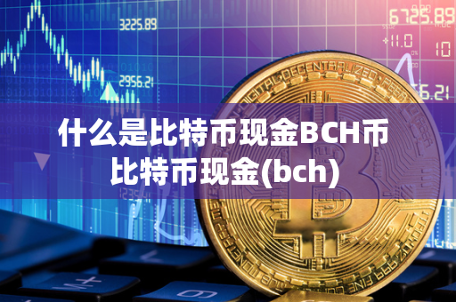 什么是比特币现金BCH币 比特币现金(bch) 