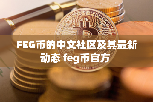 FEG币的中文社区及其最新动态 feg币官方 