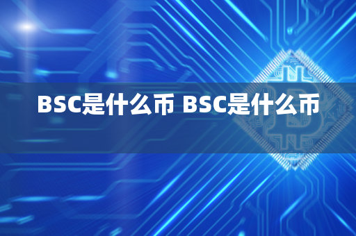 BSC是什么币 BSC是什么币 