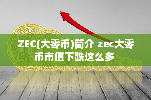 ZEC(大零币)简介 zec大零币市值下跌这么多 