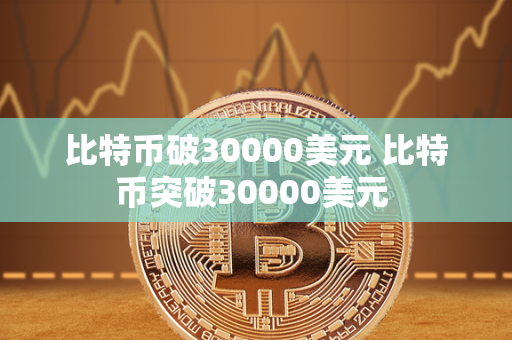 比特币破30000美元 比特币突破30000美元 