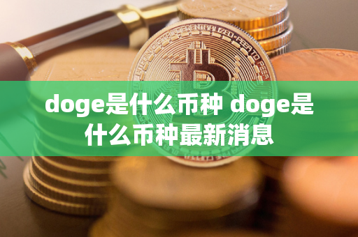 doge是什么币种 doge是什么币种最新消息