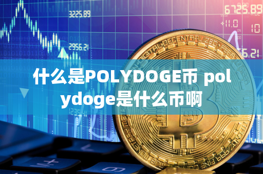 什么是POLYDOGE币 polydoge是什么币啊